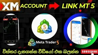 Xm Account එක  MT 5 App එකට දාගමුද? How can link xm account to mt 5 sinhala 