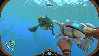 Gas Pods | Subnautica Guide 2021 (Safe Shallows)
