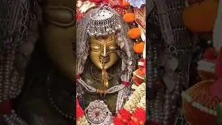hidimba devi temple manali #shorts #shortvideo