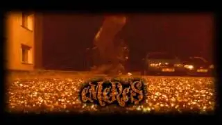 C-Walk  &deg;&deg;+paWka+&deg;&deg; - 3. vidko