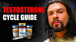 Testosterone Cycle Guide For Beginners 2025