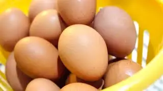 Egg Cleaning & Storage Made Simple &ndash; Quick Tips!