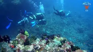 Dune Atlantis Bali - Dive Site - Gili, Tepekong