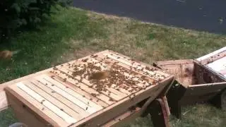 Swarm split&mdash; Beepods 2012