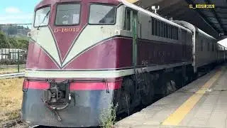 Tren Temuco Santiago Enero 2026