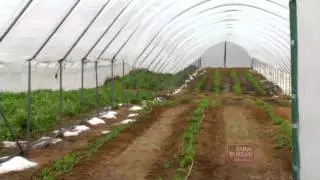 Marketing Produce - Arkansas Farm Bureau
