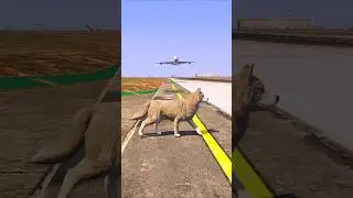 A Dog Spontaneously Arrived&nbsp;When an Airplane Was Landing | Grand Theft Auto V ||