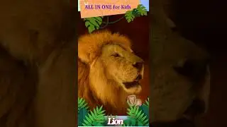 Lion Sound || Animal sounds || Kids Learning #lionsound #lionsounds #learning