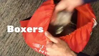 Unboxing an OrangeBag