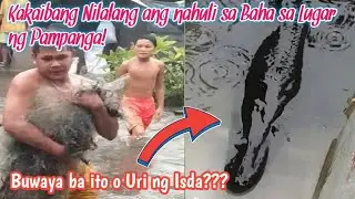 Kakaibang Nilalang na Nahuli sa Baha sa Pampanga, Mukhang Buwaya!