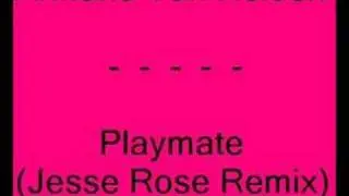 Armand Van Helden - Playmate (Jesse Rose Remix)