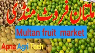 Multan fruit mandi