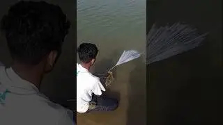 Amazing netfishing vairalshort video 🐬