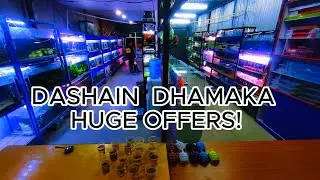 Celebrate Dashain with special offers at NB Aquarium House! 