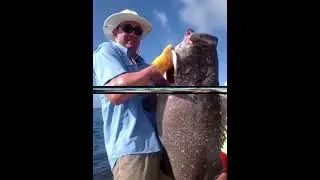 Blue streak fishing charters                                   Freeport offshore fishing charters
