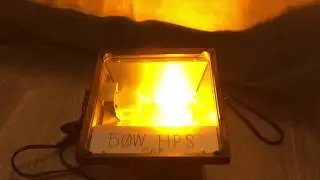 Philips 50W High Pressure Sodium Bulb