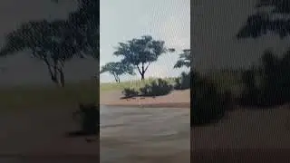 [Wild savanna] докатились, уже нн людей косерами Савы называют 👎 @ЭвелинаГлазунова