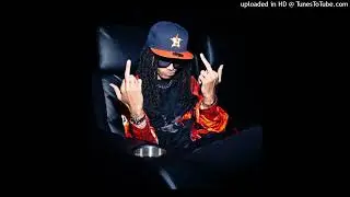 che REST IN BASS DIOR LEOPARD type beat