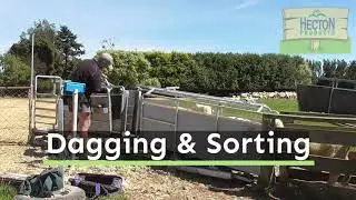 Hecton Stock Worker 1080p