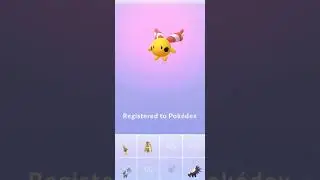 😲OMG | Rarest Pokemon Hatched from 2km Egg 🐣| Pokemon Go | MonsterTamer999