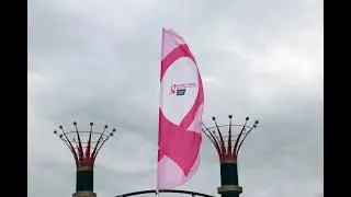 Tribute For Steve