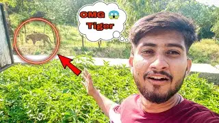Biological Park Udaipur vlog || OMG 😱 इतना बड़ा टाइगर...