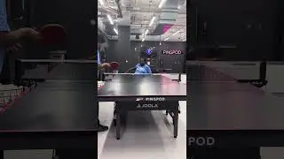 Wheelchair Table Tennis Forehand Smash lesson by Absar Ali ITTF Expert with Mosses