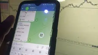 Telegram to MT4 (Signal Copier)