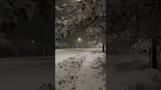 Relaxing Snowfall ❄️ at Night | Winter Aesthetic ❄️ | Peaceful Night Walk