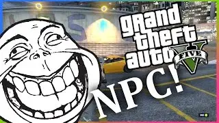 GTA 5 DUMB NPC! [GTA 5 Funny Moments]