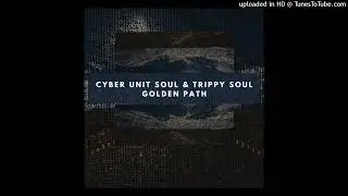 Cyber Unit Soul, Trippy Soul - Golden Path [()utside Romania]