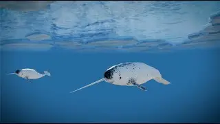 MOSAiC - Measuring the melting ice caps of the Arctic