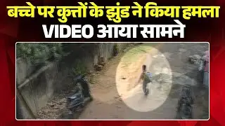 Gwalior Dog Attack: Child attacked by a pack of dogs | CCTV shows dogs chasing the child