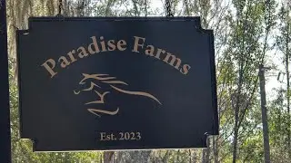 Paradise Farms - Original Song & Lyric Video