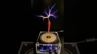 Tesla Coil vs Chili 🌶️⚡ What Happens to Spicy Peppers?