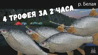 ФАРМ ТРОФЕЕВ • РУССКАЯ РЫБАЛКА 4 • РР4