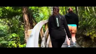 Kitekite Falls & Piha Beach | West Auckland Adventure & Sunset