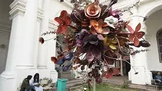 13 Courtyard Alex Davis 14