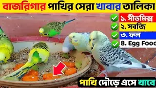 বাজরিগার পাখির সেরা খাবার তালিকা 🍇|| Budgies Best Food🥝🥑