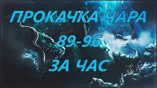 Lineage 2 Helios Airin Прокачка чара 89-96 за час