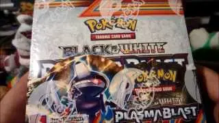 The BEST Pokemon Plasma Blast Booster Box on YouTube?! Must see!