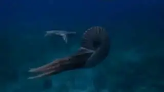 Sea monsters - Trailer