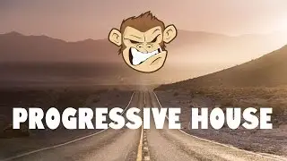 Royal Brothers & TASHMK - FOCUS