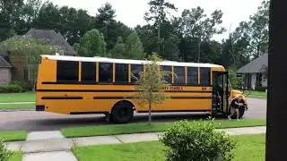 The Bus Brother Day 3