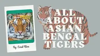 📚 Kids Book Read Aloud: All About Asian Bengal Tigers By Carol Kline