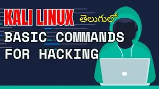 Commands in Kali Linux: For Beginners.