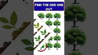 Find the Odd One Out | Fun Learning Game for Kids | Kids Educational video | Quiz for Kids #shorts