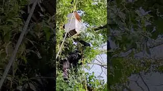 How to Put Up a Tawny Owl Nesting Box | Woodland Conservation #UrbanWildlife #birdconservation