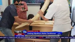 Lima Gading Gajah Disita di Perbatasan - NET16