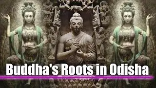 Reclaiming History | Buddha's Land | Buddha's Roots in Odisha |  Odia Lofi Vibes 🎶